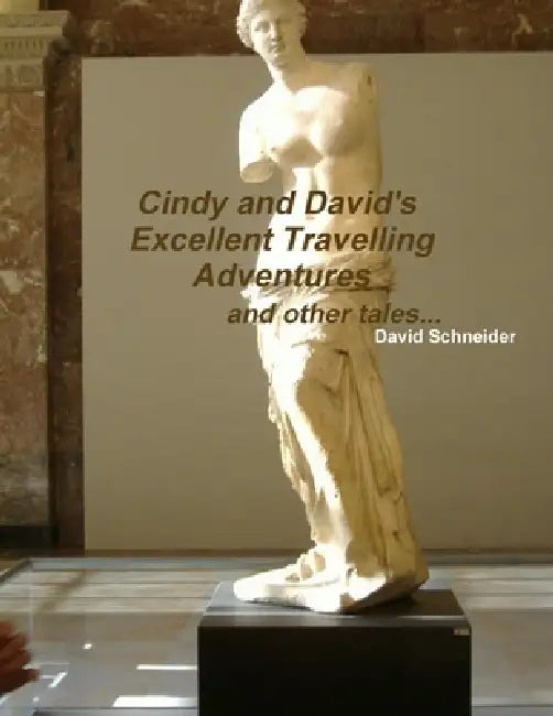 Cindy and David's Excellent Travelling Adventures by David Schneider
