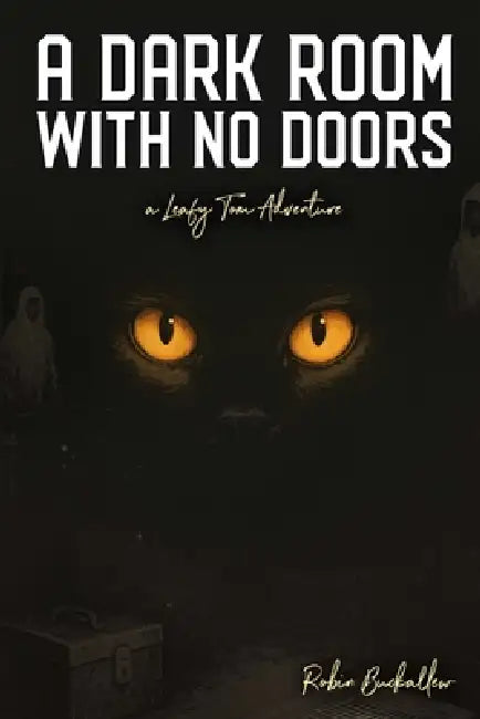 A Dark Room with no Doors by Robin Buckallew, Matt Jorde