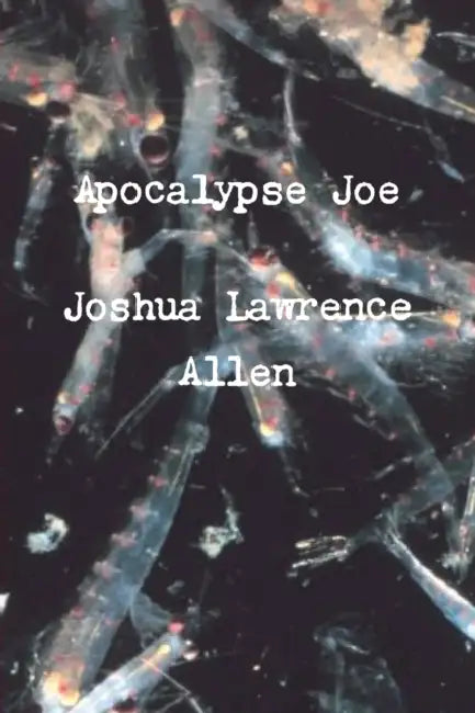 Apocalypse Joe by Joshua Lawrence Allen