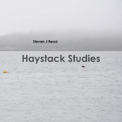 Haystack Studies by Steven J. Read
