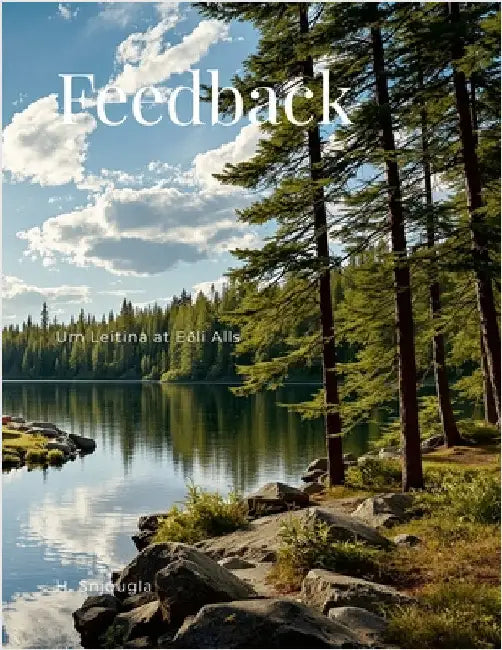 Feedback: Um Leitina at Eðli Alls by Snjougla, Haden