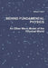 Behind Fundamental Physics by Holger Kubel