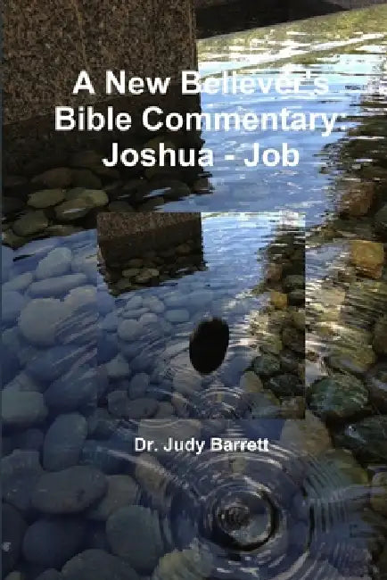 A New Believer's Bible Commentary: Joshua - Job by Judy Barrett
