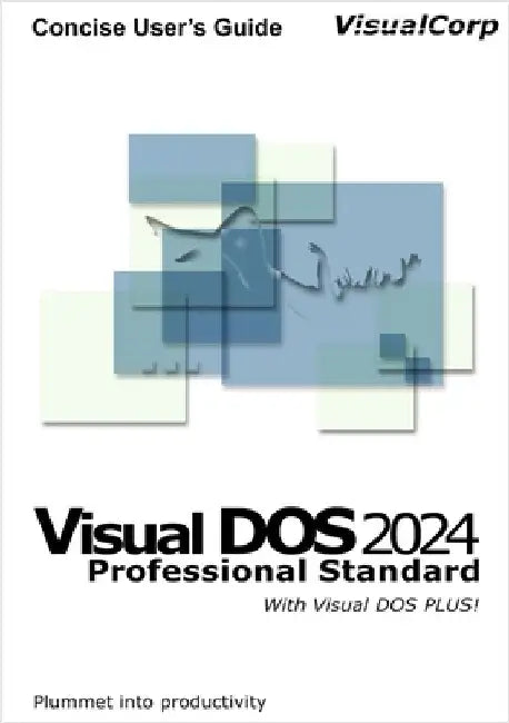 Visual DOS 2024 Concise User's Guide by Gonzalez, Abbie