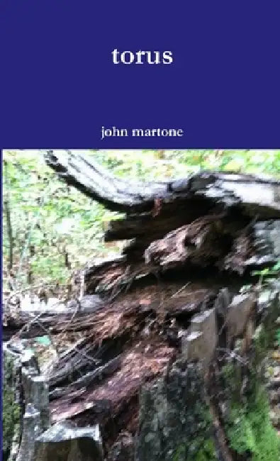 torus by John Martone