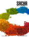 Makeup 101 - An Introduction to The SACHA METHOD by Sacha USA LLC, Satyakama Maharaj, Aruna Maharaj