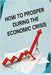 How to Posper During the Economic Crisis: Turning Challenges into Opportunities: Your Guide to Thriving in Tough Times by Bice, Tom