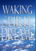 Waking Spirit Dreams by Alison Breskin