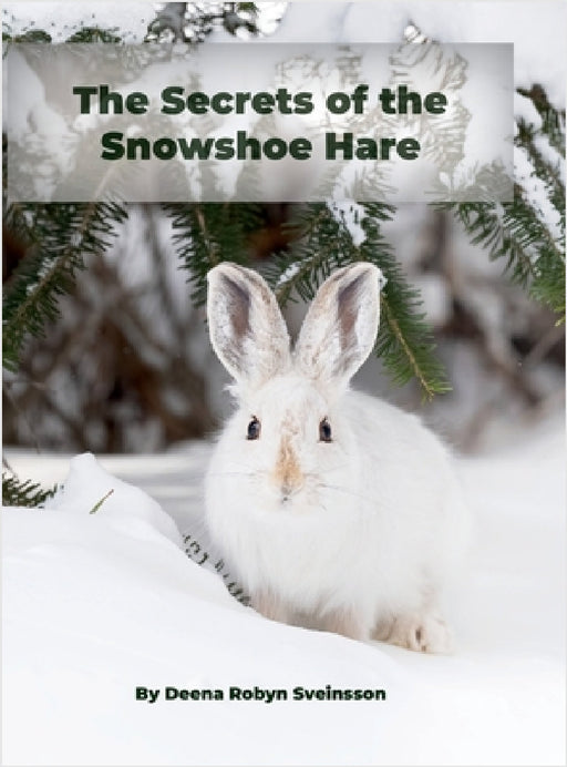 The Secrets of the Snowshoe Hare by Deena Robyn Sveinsson, Deena Robyn Sveinsson