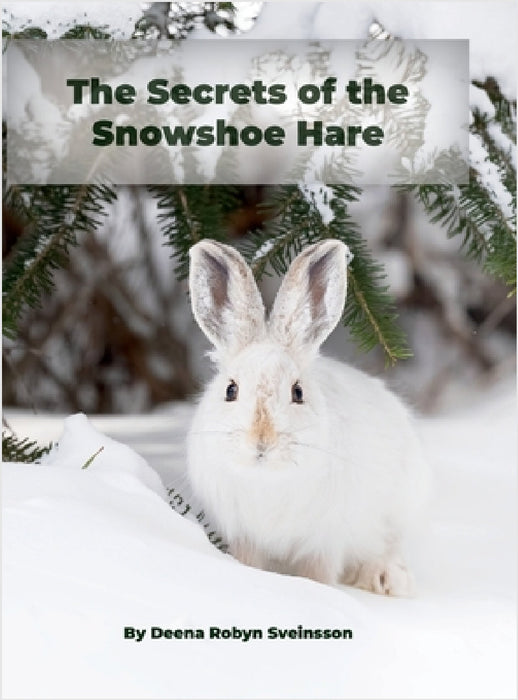 The Secrets of the Snowshoe Hare by Deena Robyn Sveinsson, Deena Robyn Sveinsson