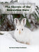 The Secrets of the Snowshoe Hare by Deena Robyn Sveinsson, Deena Robyn Sveinsson
