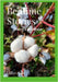 Bedtime Stories: Starry Eyed Water by Agape, Cheri