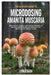 The Ultimate Guide to Microdosing Amanita Muscaria: Discover the Healing and Holistic Benefits of this Incredible Medicinal Mushroom for Wellness and by Leonor Sousa