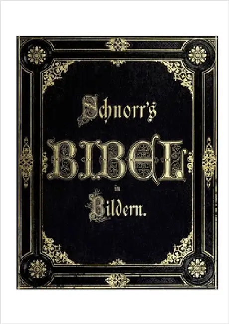 Die Bibel in Bildern: The Bible in Pictures by Schnorr Von Carolsfeld, Julius