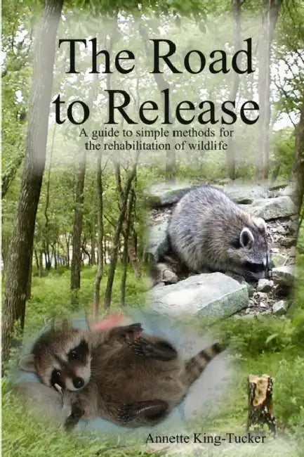 The Road to Release by Annette King-Tucker