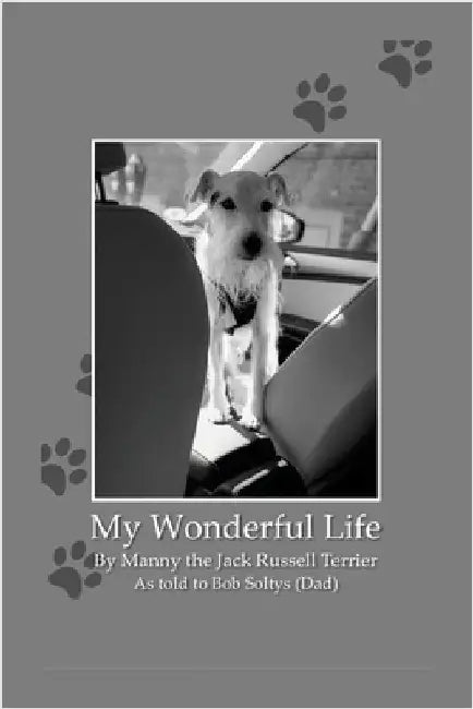 My Wonderful Life by Soltys, Bob