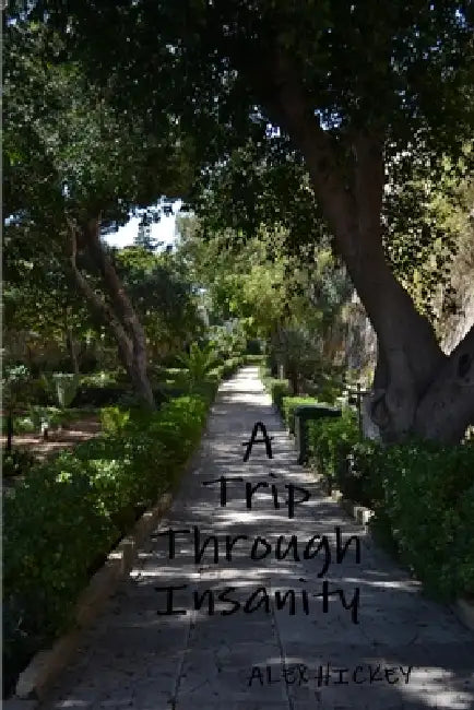 A Trip Through Insanity by Alex Hickey