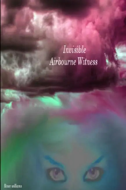 Invisible Airbourne Witness by Renee Williams