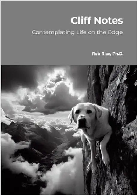 Cliff Notes: Considering Life's Meaning on the Edge by Rice, Robert