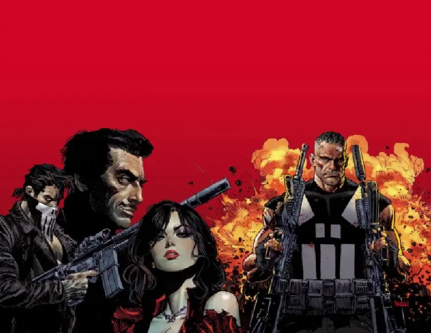 Marvel Knights: Punisher by Jimmy Palmiotti, Dan Panosian, Dan Panosian