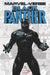 Marvel-Verse: Black Panther by Marvel Comics
