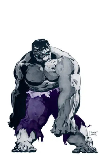 Jeph Loeb & Tim Sale: Hulk by Jeph Loeb