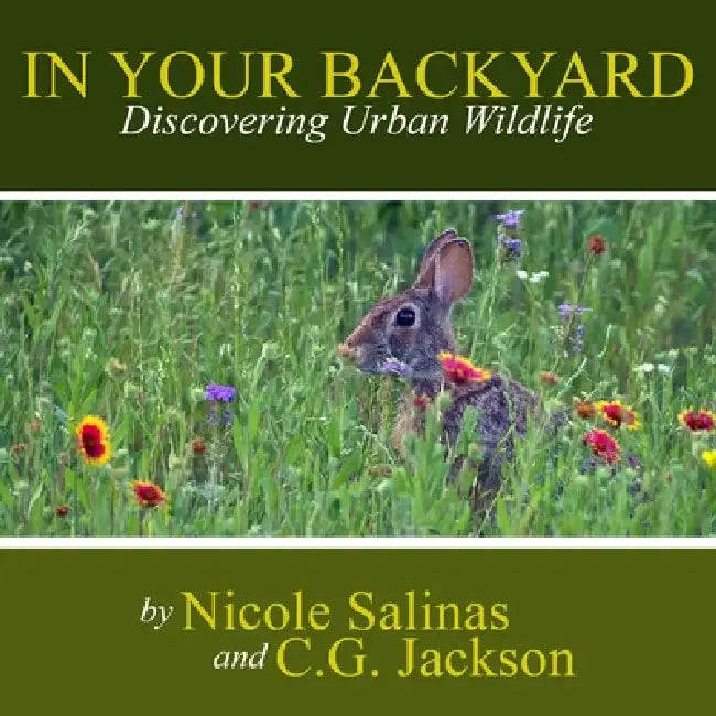 In Your Backyard: Discovering Urban Wildlife by C. G. Jackson, Nicole Salinas