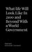 What life Will Look Like In 2100 and Beyond With a World Government by Madison Stahurski-Dunstall