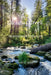 Lacamas Creek: Meditations & Reflections by Jacob Salzer