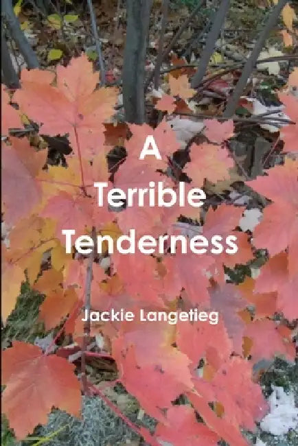A Terrible Tenderness by Jackie Langetieg