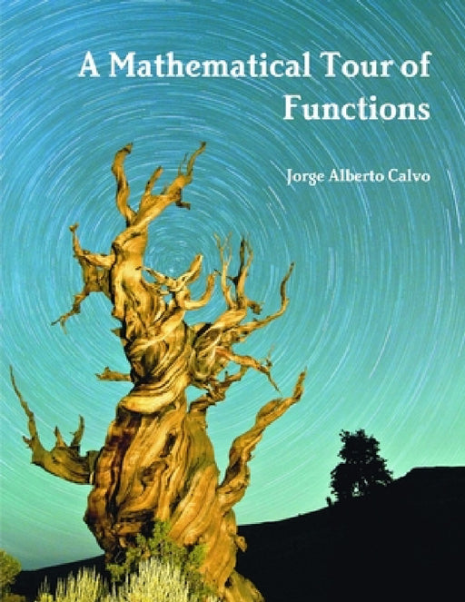 A Mathematical Tour of Functions by Jorge Alberto Calvo