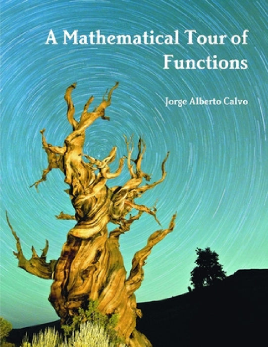 A Mathematical Tour of Functions by Jorge Alberto Calvo