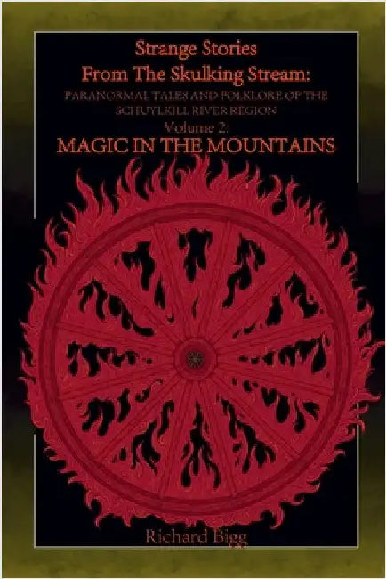 Strange Stories from The Skulking Stream: Paranormal Tales and Folklore of The Schuylkill River Region: Volume 2: Magic In the Mountains by Bigg, Richard