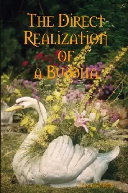 The Direct Realization of a Buddha by Tenzin Gyurme