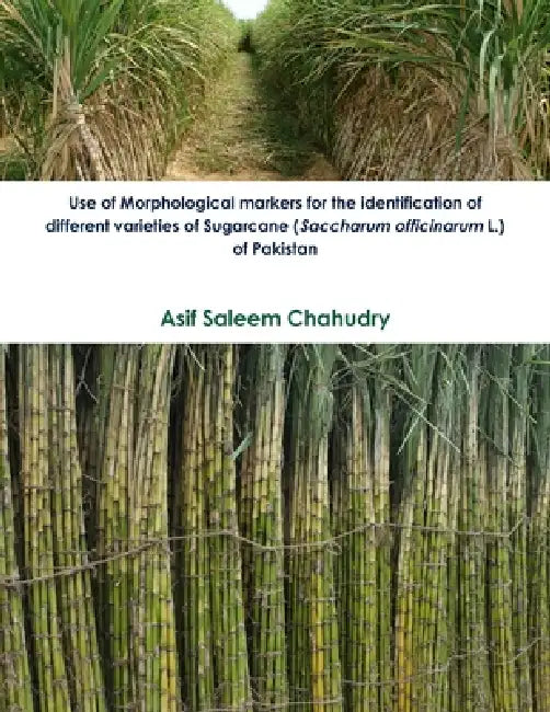 Use of Morphological markers for the identification of different sugarcane (Saccharum officinarum L.)varieties of Pakistan by Asif Saleem