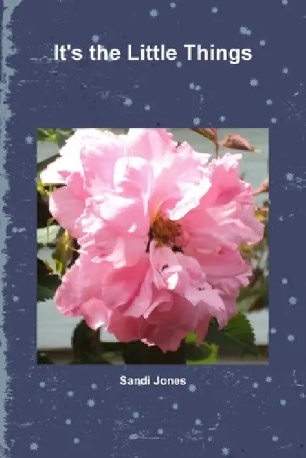 It's the Little Things by Sandi Jones