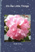 It's the Little Things by Sandi Jones