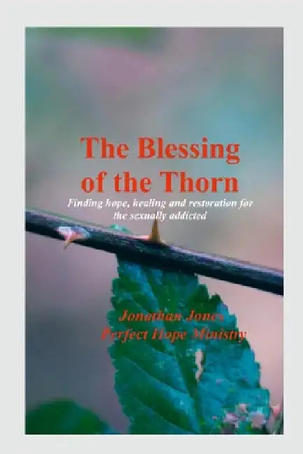 The Blessing of the Thorn- 2nd Edition- revised: Healing Sexual Addiction in the Christian Community by Jones, Jonathan