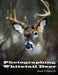 Photographing Whitetail Deer by Jr. Ciferno Joseph