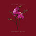 Phalaenopsis_shimabukuro by Wayne Shimabukuro
