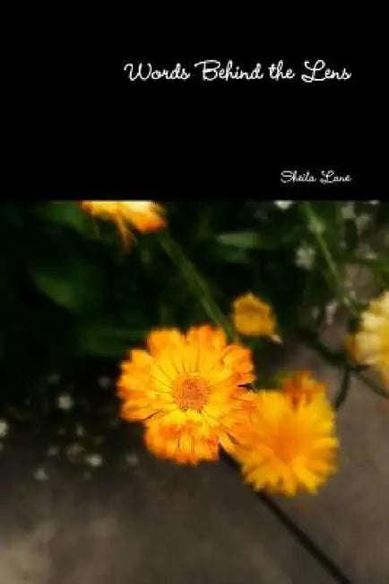 Words Behind the Lens by Sheila Lane