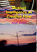 Musical Intelligence as Creative Flow by Andi Bowe