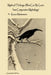 Mythical Thinkings: What Can We Learn from Comparative Mythology? by Kazuo Matsumura