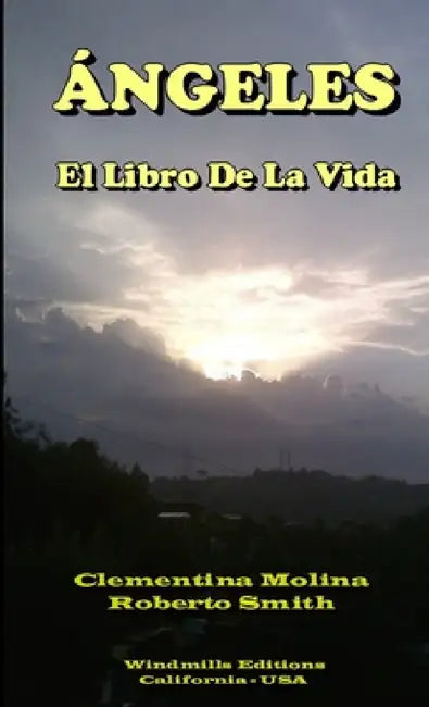Ángeles - El Libro De La Vida by Clementina Molina Y. Roberto Smith