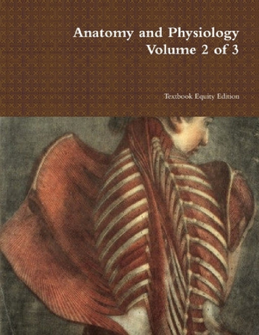 Anatomy and Physiology Volume 2 of 3 by Textbook Equity Edition