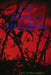 The Witches Spell Book by Paul And Meaghan Ellis