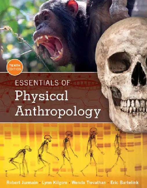 Essentials of Physical Anthropology by Robert Jurmain, Lynn Kilgore, Wenda Trevathan