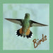 Birds by Noel McKeehan