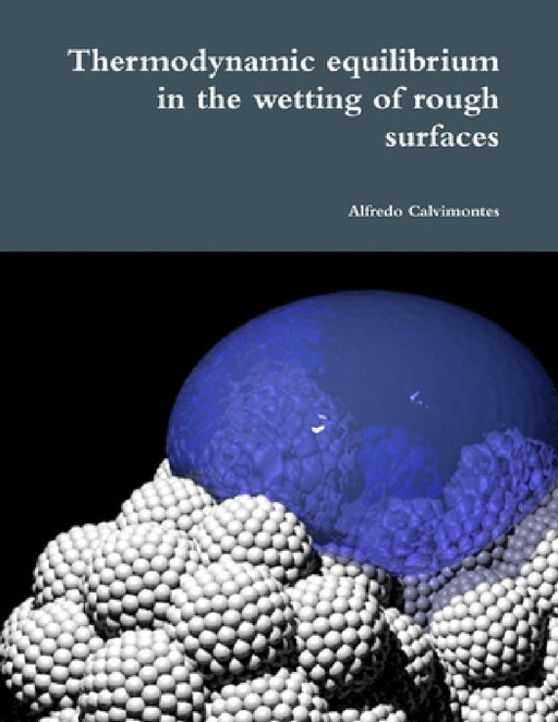 Thermodynamic equilibrium in the wetting of rough surfaces by Alfredo Calvimontes