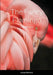 The Fancy Flamingo: Daily Affirmations by Latoya Smith
